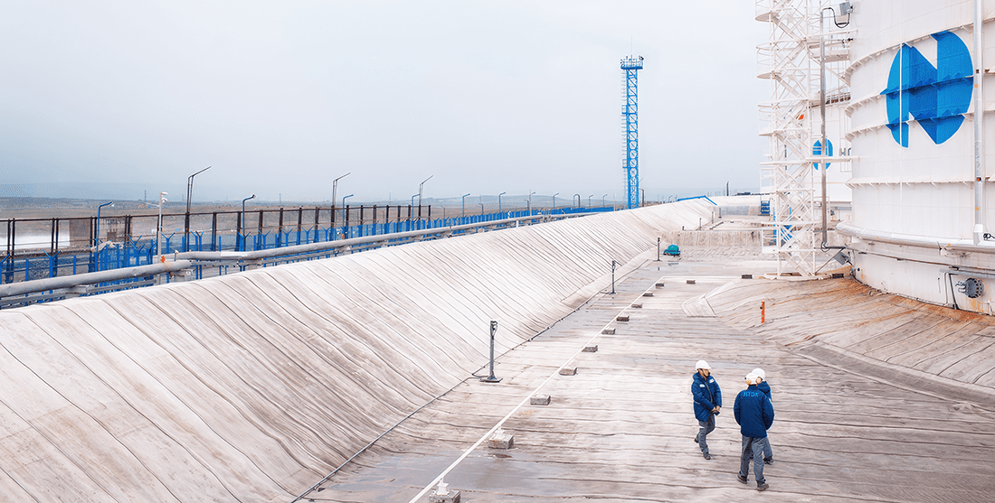 Стратегия устойчивого роста