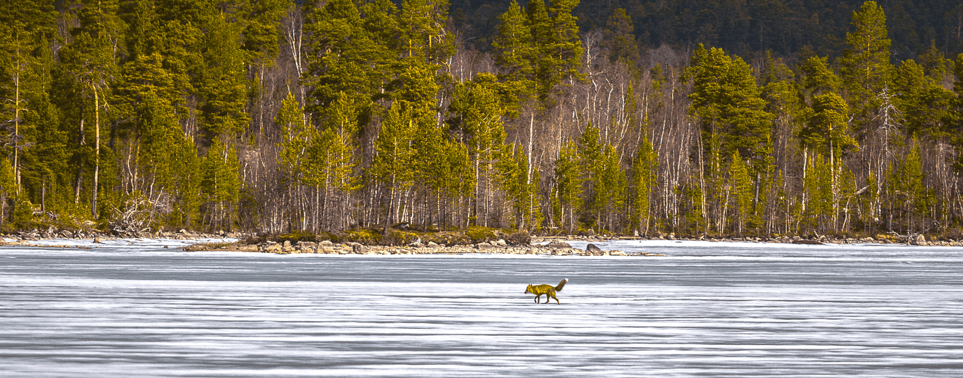 Внутренний контроль