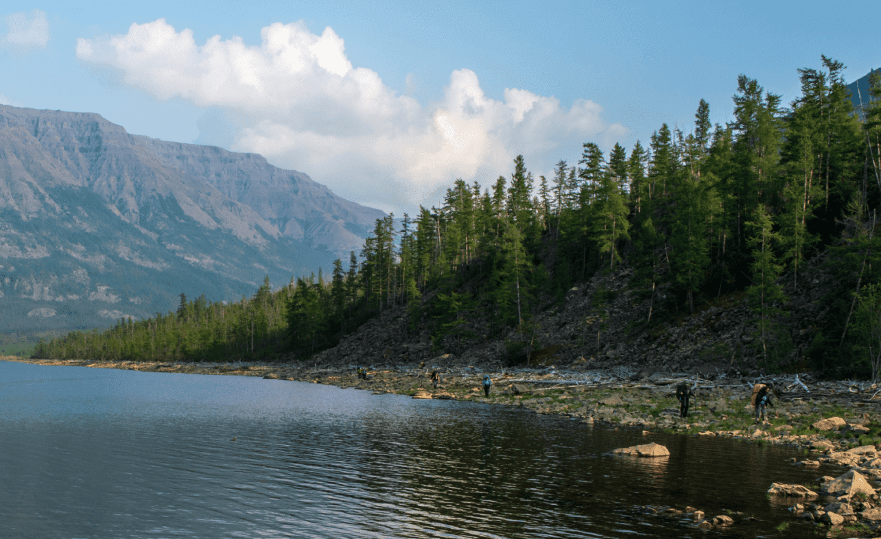 Окружающая среда